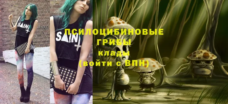 Галлюциногенные грибы MAGIC MUSHROOMS  даркнет сайт  Кирс 